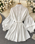 Arcela White Dress